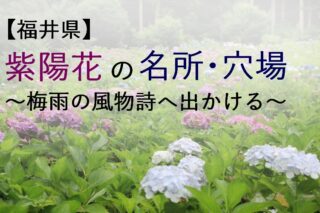 【福井県】紫陽花の名所・穴場を紹介。梅雨の風物詩へ出かける