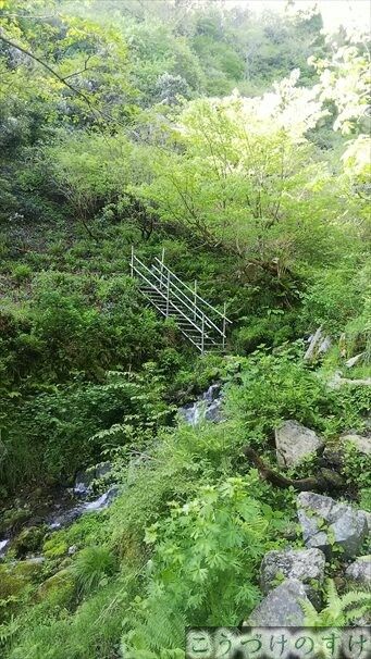 野坂山水辺の階段