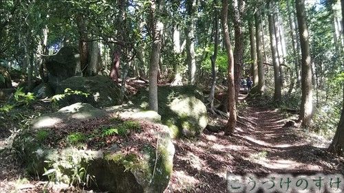 青葉山序盤奇岩と杉