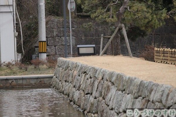 福井城石垣の復元と福井神社裏の石垣