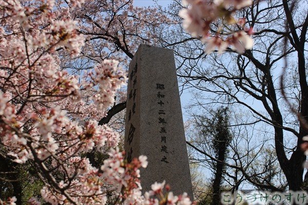 桜と忠霊塔