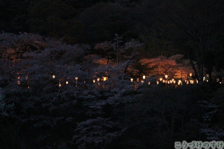 金ヶ崎桜灯り