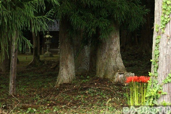 檜曽谷大日孁神社