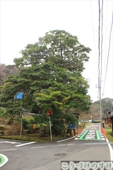 青井のタモの木地蔵