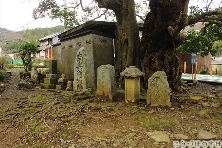 青井のタモの木地蔵