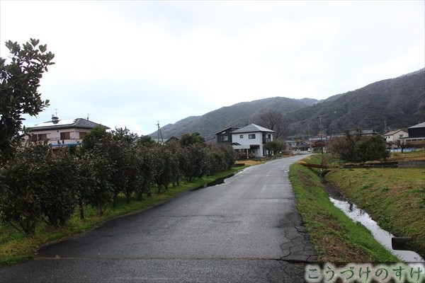 ハス川雲井