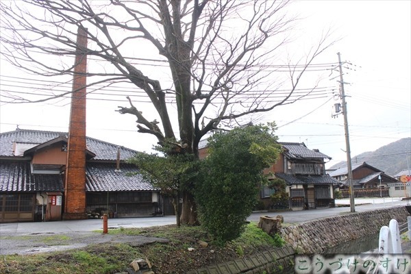 ハス川雲井