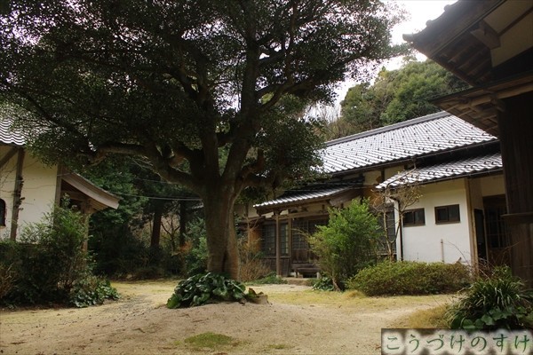 阿弥陀寺