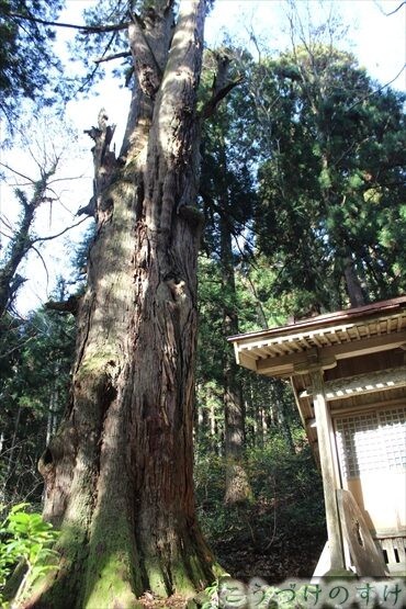 岩屋観音