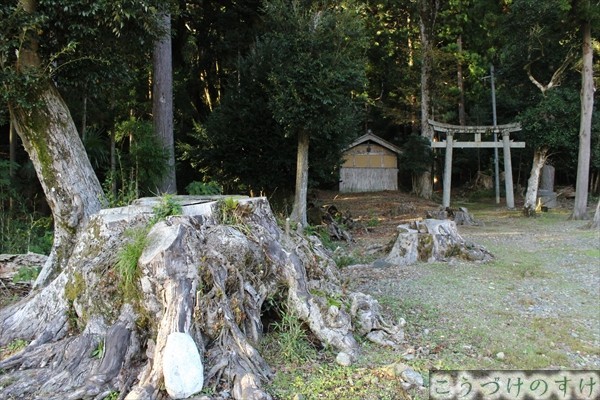 椎村神社