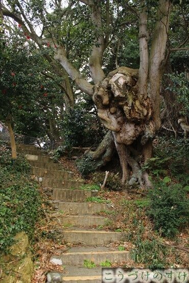 岡山稲荷