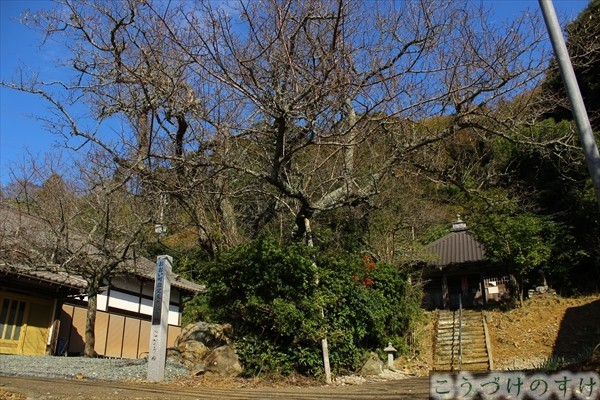 宝楽寺