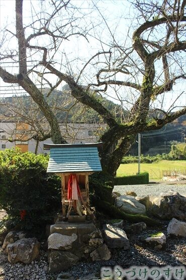 宝楽寺