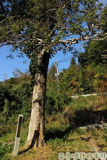 宝楽寺