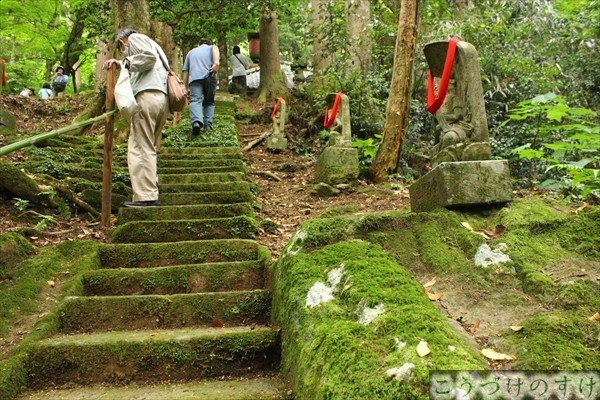畝畦寺