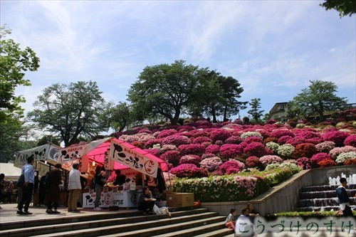 西山公園・長泉寺山