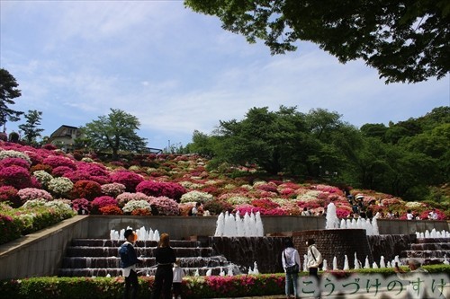 西山公園・長泉寺山