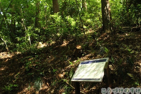 西山公園・長泉寺山