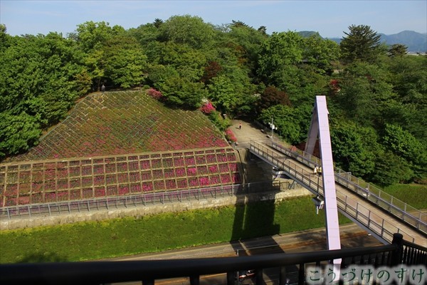 西山公園・長泉寺山