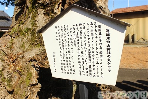 菖蒲池