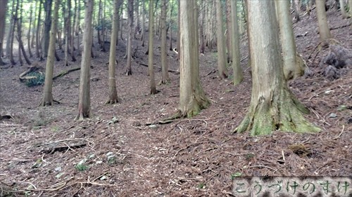 三十三間山