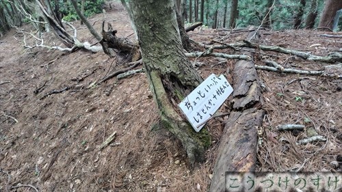 三十三間山