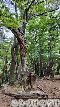 三十三間山
