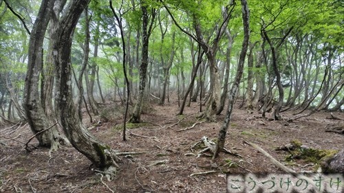 三十三間山