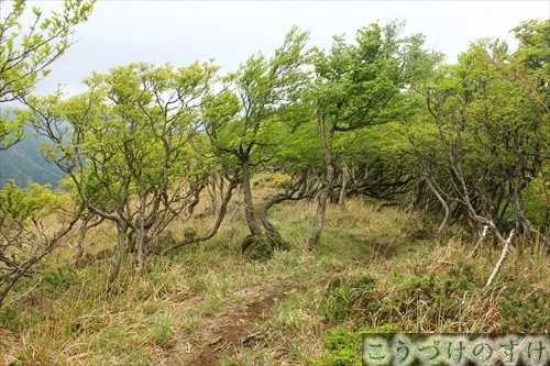 三十三間山